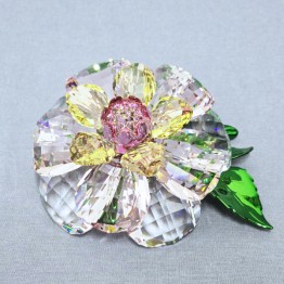 Florere Camellia